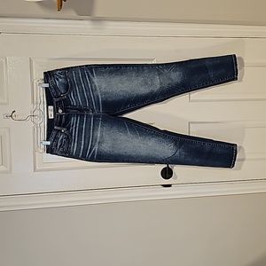 BKE Gabby Skinny Jeans